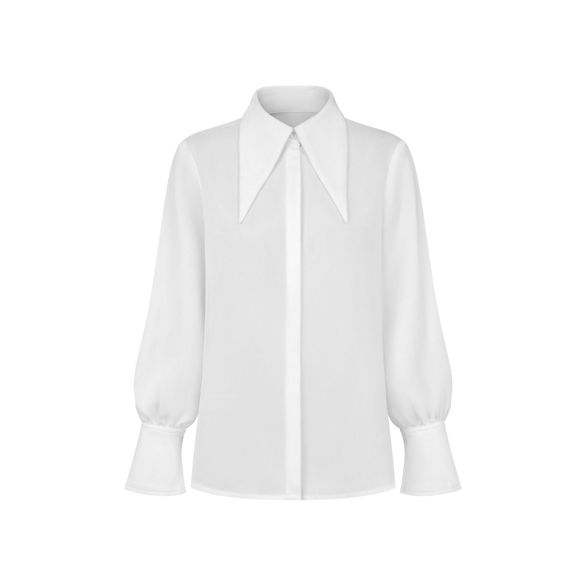 Pointed Collar Blouse