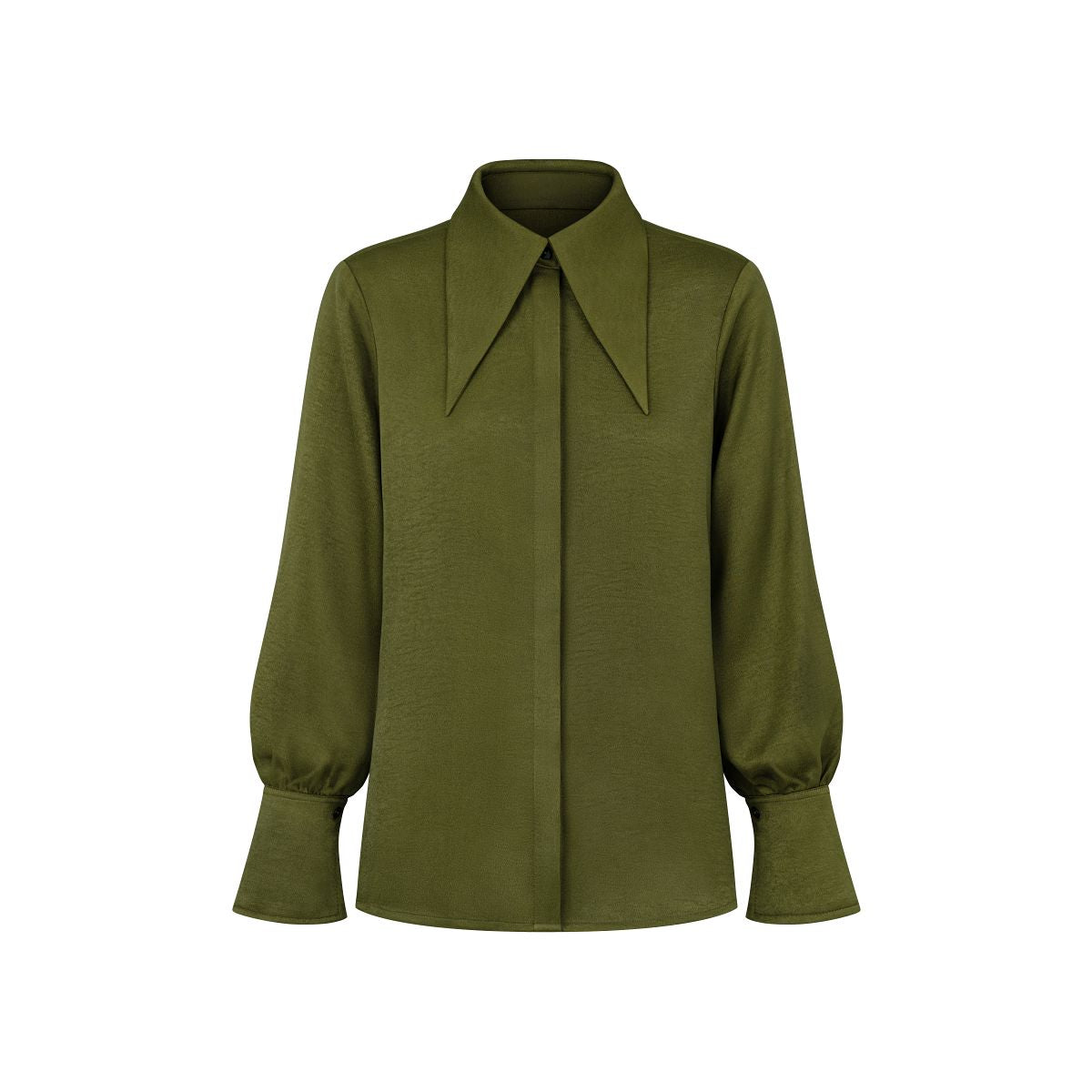 Pointed Collar Blouse