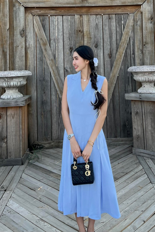 Trimmed A-Line Flare Midi Dress