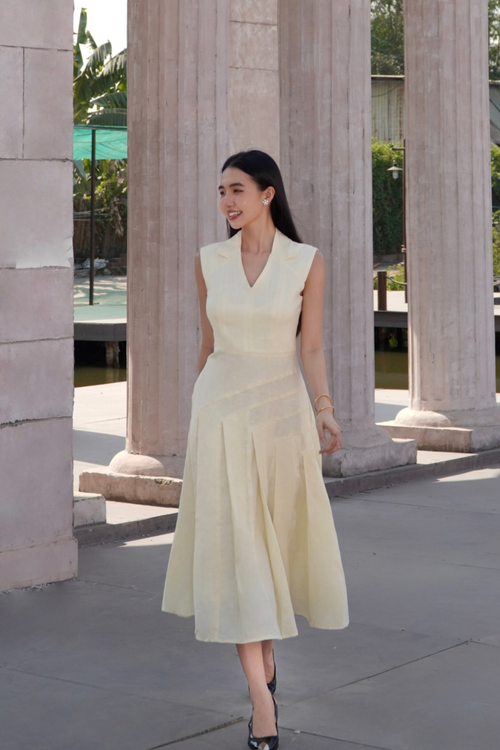 Trimmed A-Line Flare Midi Dress