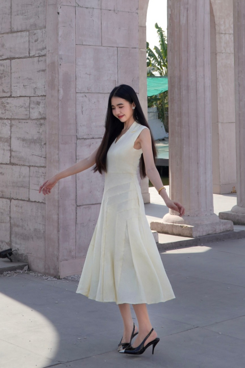 Trimmed A-Line Flare Midi Dress