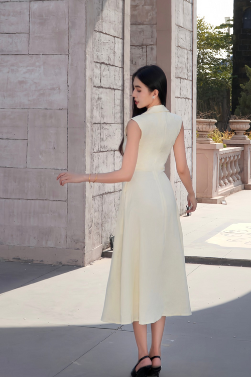 Trimmed A-Line Flare Midi Dress
