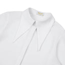 Pointed Collar Blouse