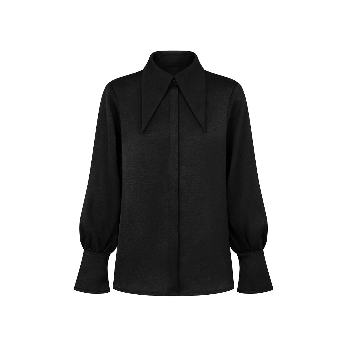 Pointed Collar Blouse