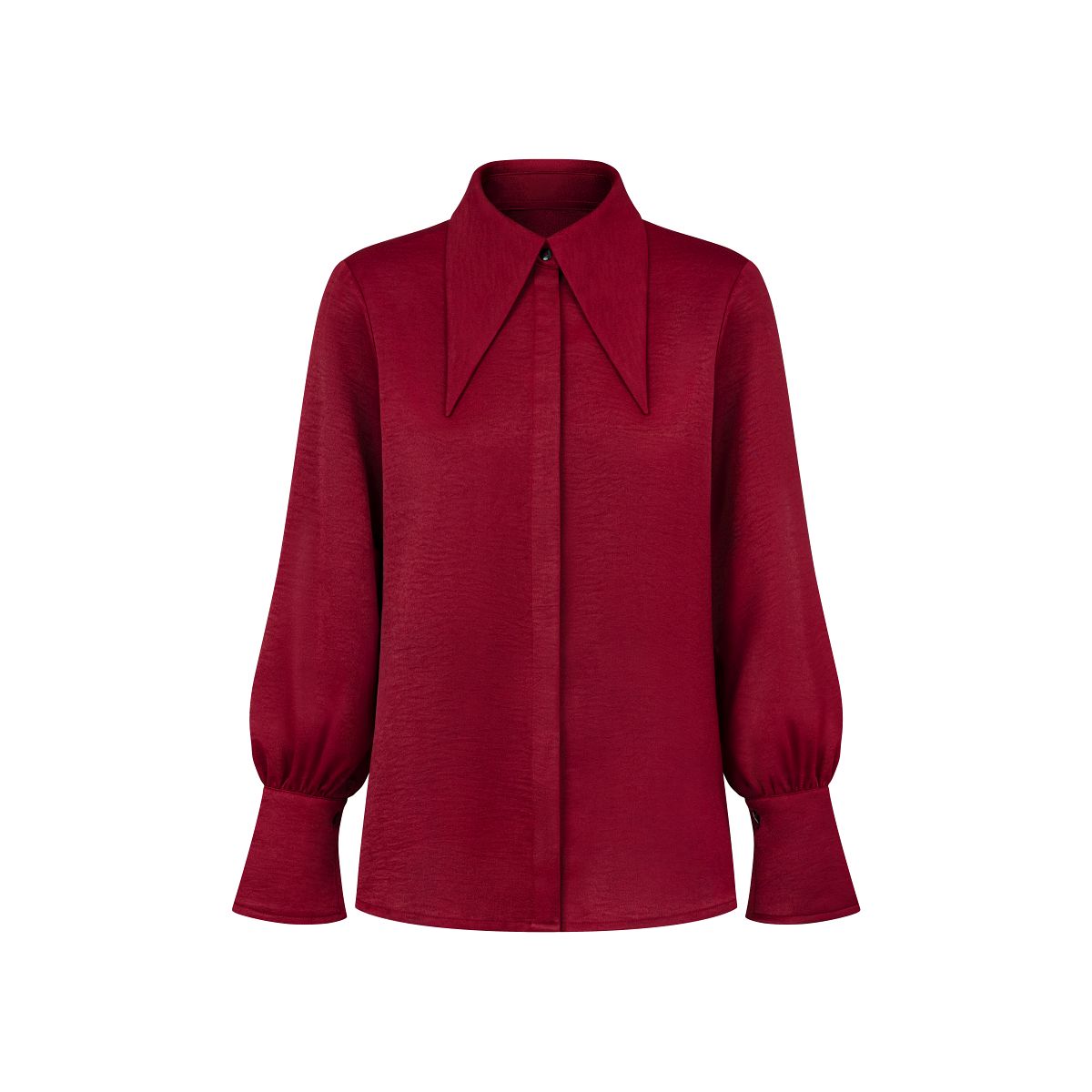Pointed Collar Blouse