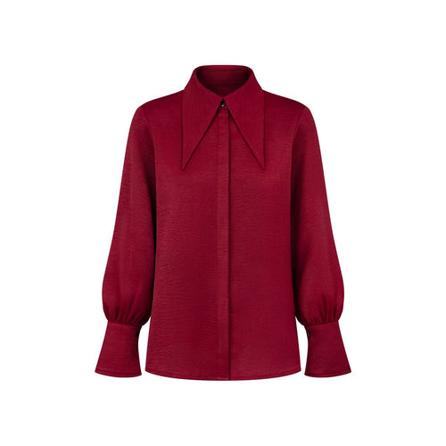 Pointed Collar Blouse