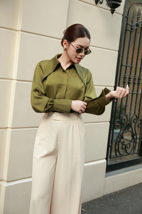 Pointed Collar Blouse